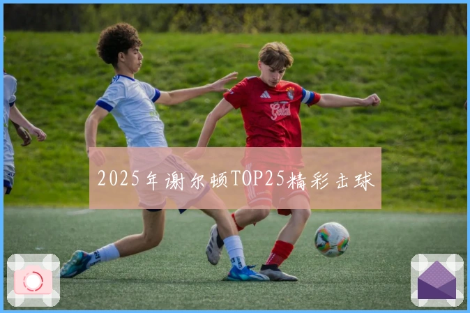 2025年谢尔顿TOP25精彩击球