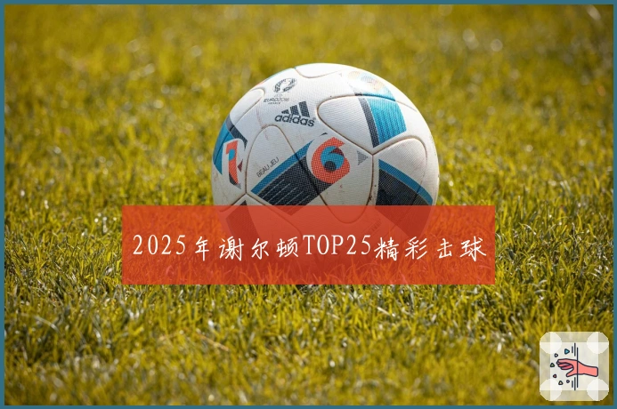 2025年谢尔顿TOP25精彩击球